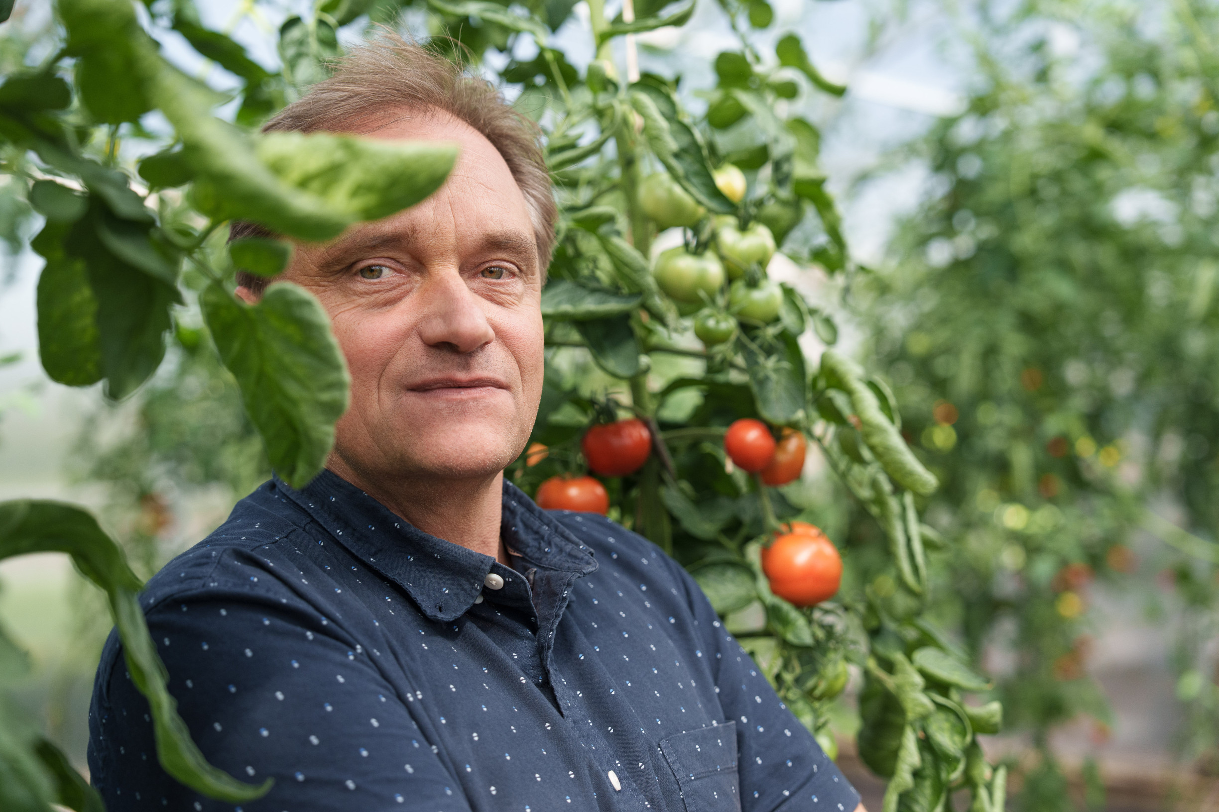 Semienka žihľavy nie sú superpotravina, veď ani nemajú vitamín C. Vedec vyvracia mýty o&nbsp;bylinkách