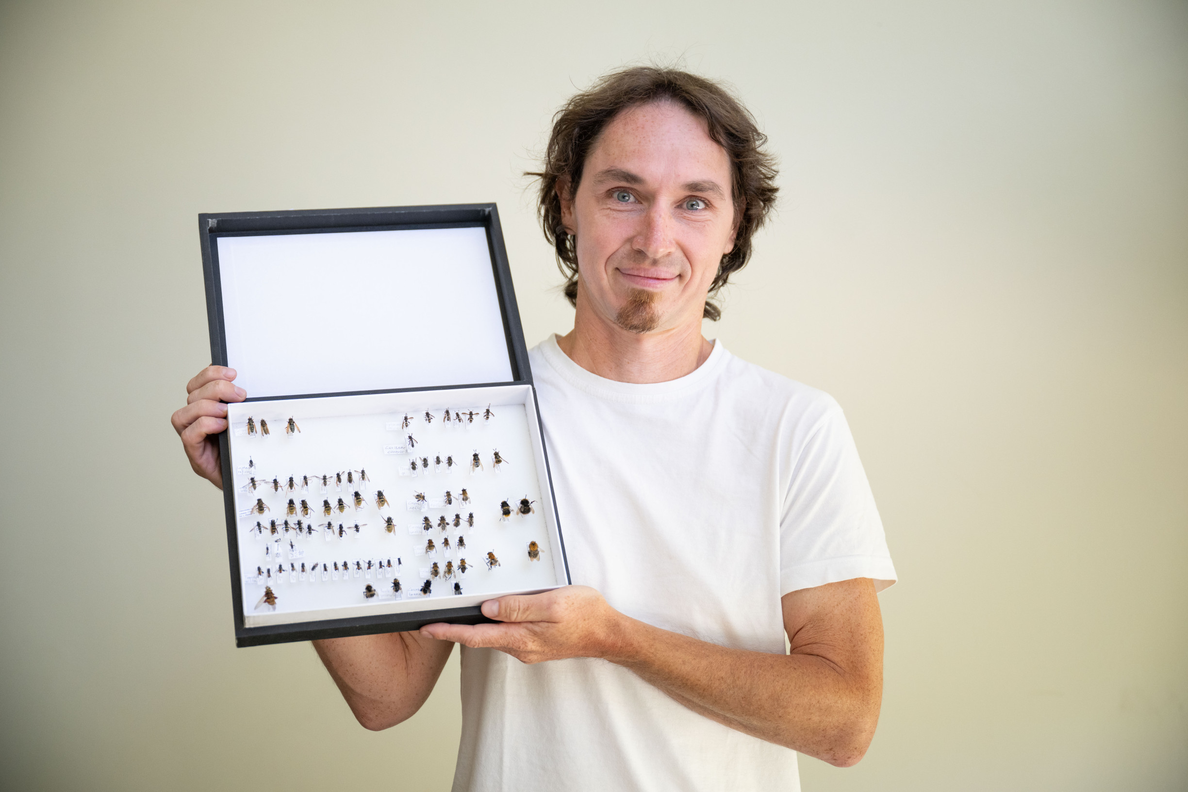 Možno až polovica včiel okolo nás sú muchy, len o&nbsp;tom nevieme. 36 otázok o&nbsp;opeľovačoch, záhradách či kosení