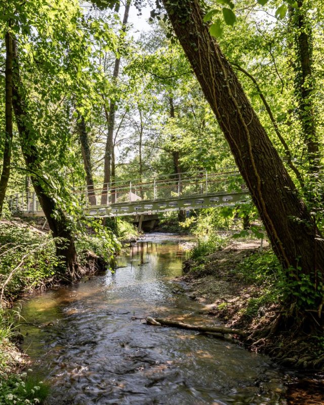Lávka medzi stromami v Bratislave od ateliéru plusminusarchitects. Foto – Maroš Fečík