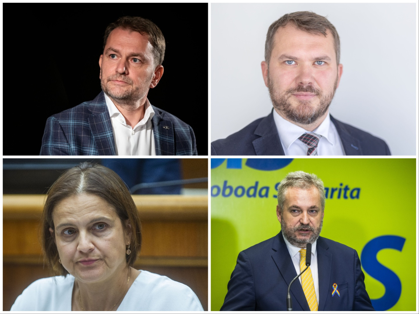 Zobraziť väčšie rozlíšenie