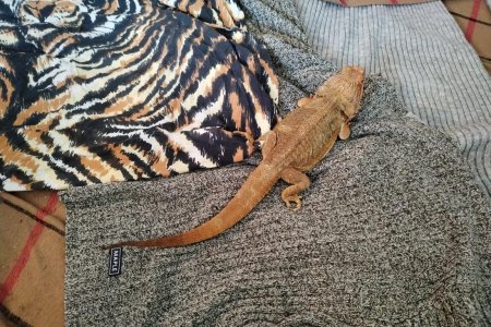 Náš Agi 29. října 2025