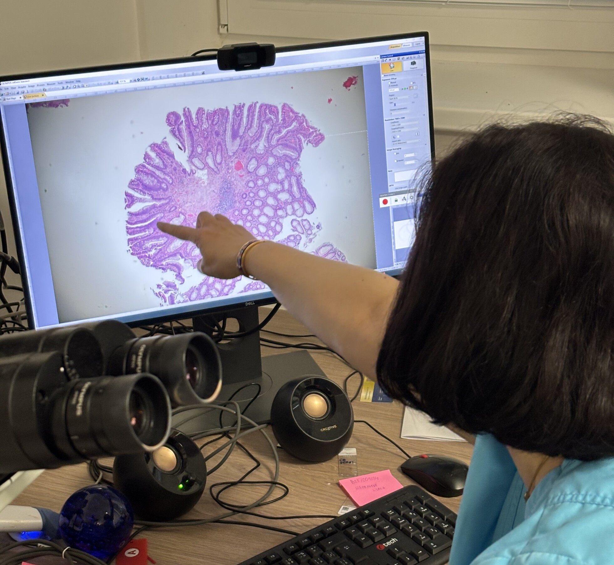 Zobraziť väčšie rozlíšenie