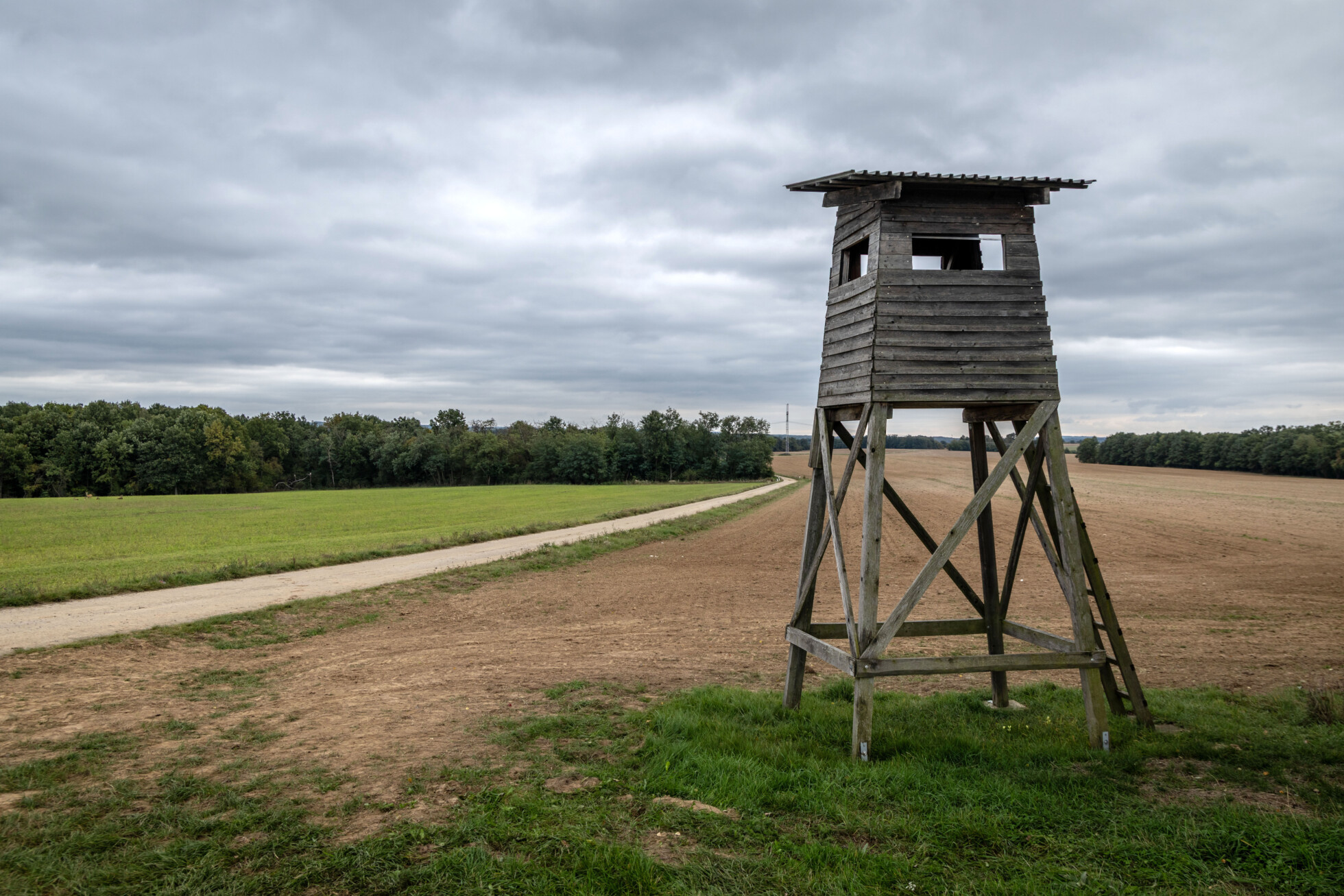 Zobraziť väčšie rozlíšenie