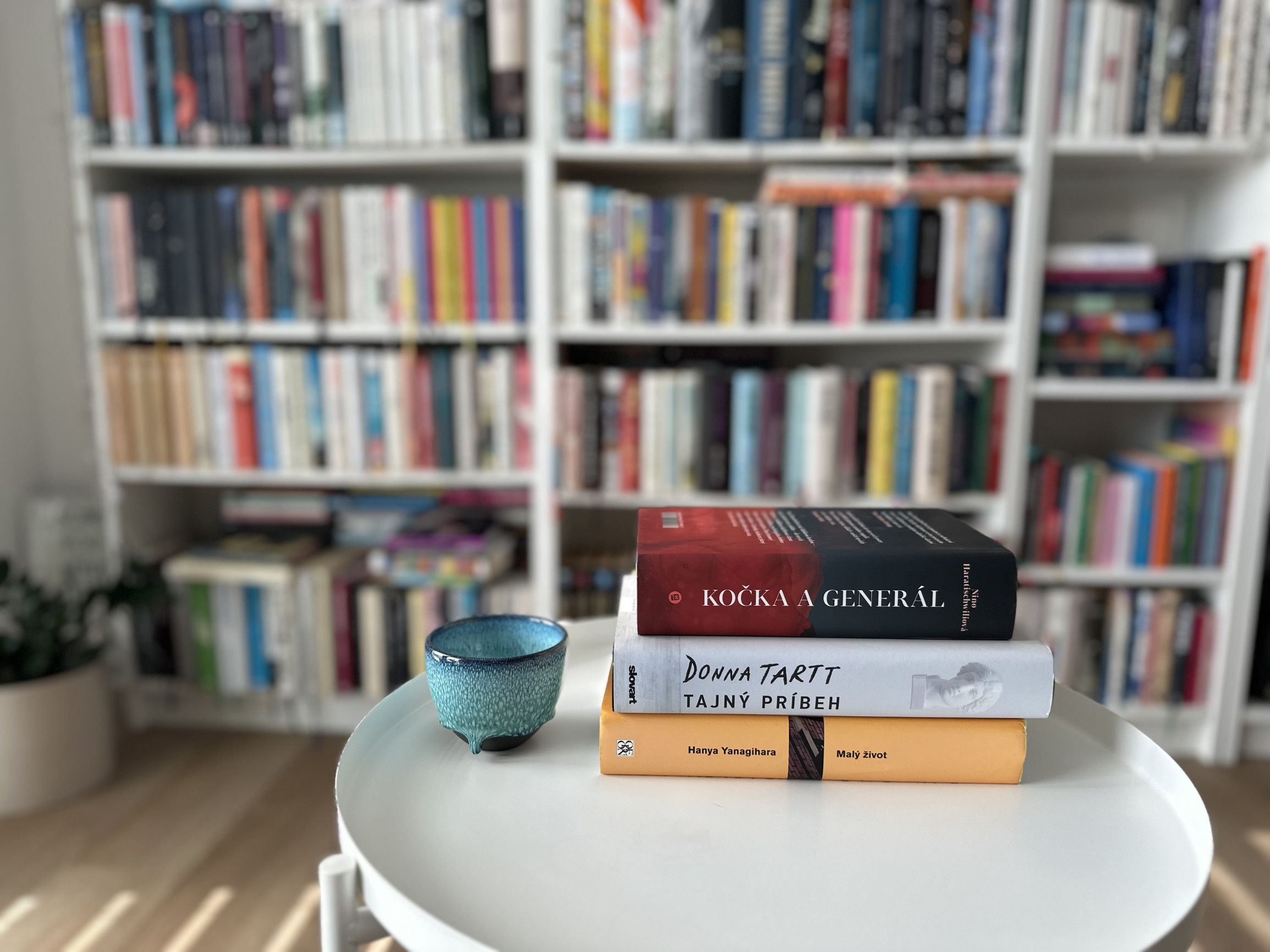 Čo číta Jana Šlinská: Najsilnejšia kniha, akú som za svoj život prečítala