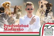 Orbánova propaganda bojuje proti Magyarovi aj mačiatkami (136 dní do volieb)