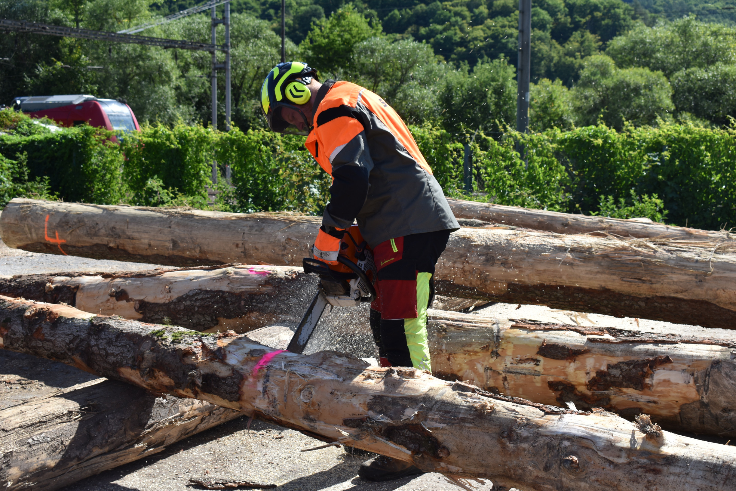 Štátne Lesy SR chystajú hromadné prepúšťanie. Podľa poslanca Hlinu nemajú ani na výplaty, podnik to odmieta