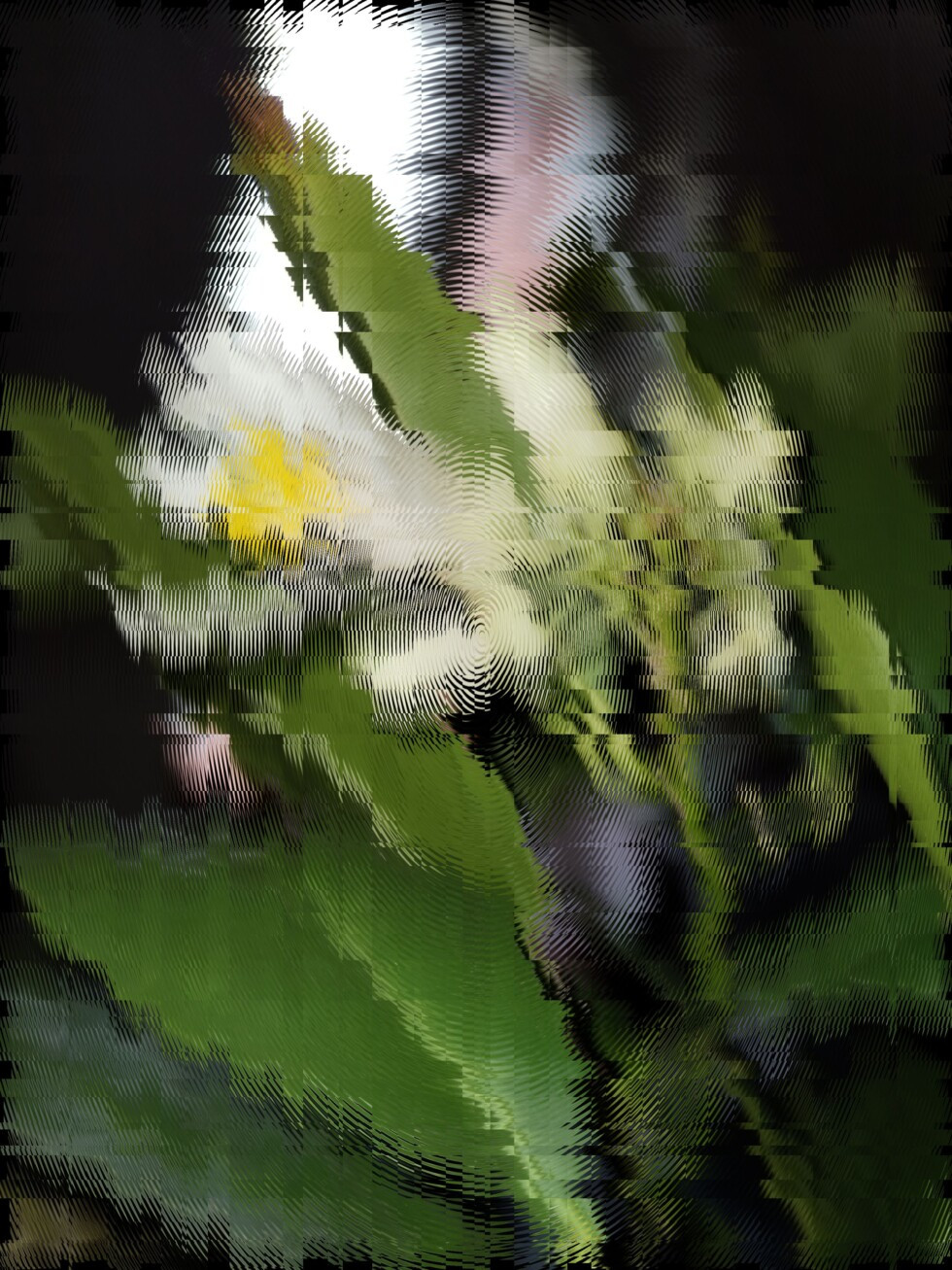 Zobrazit větší rozlišení