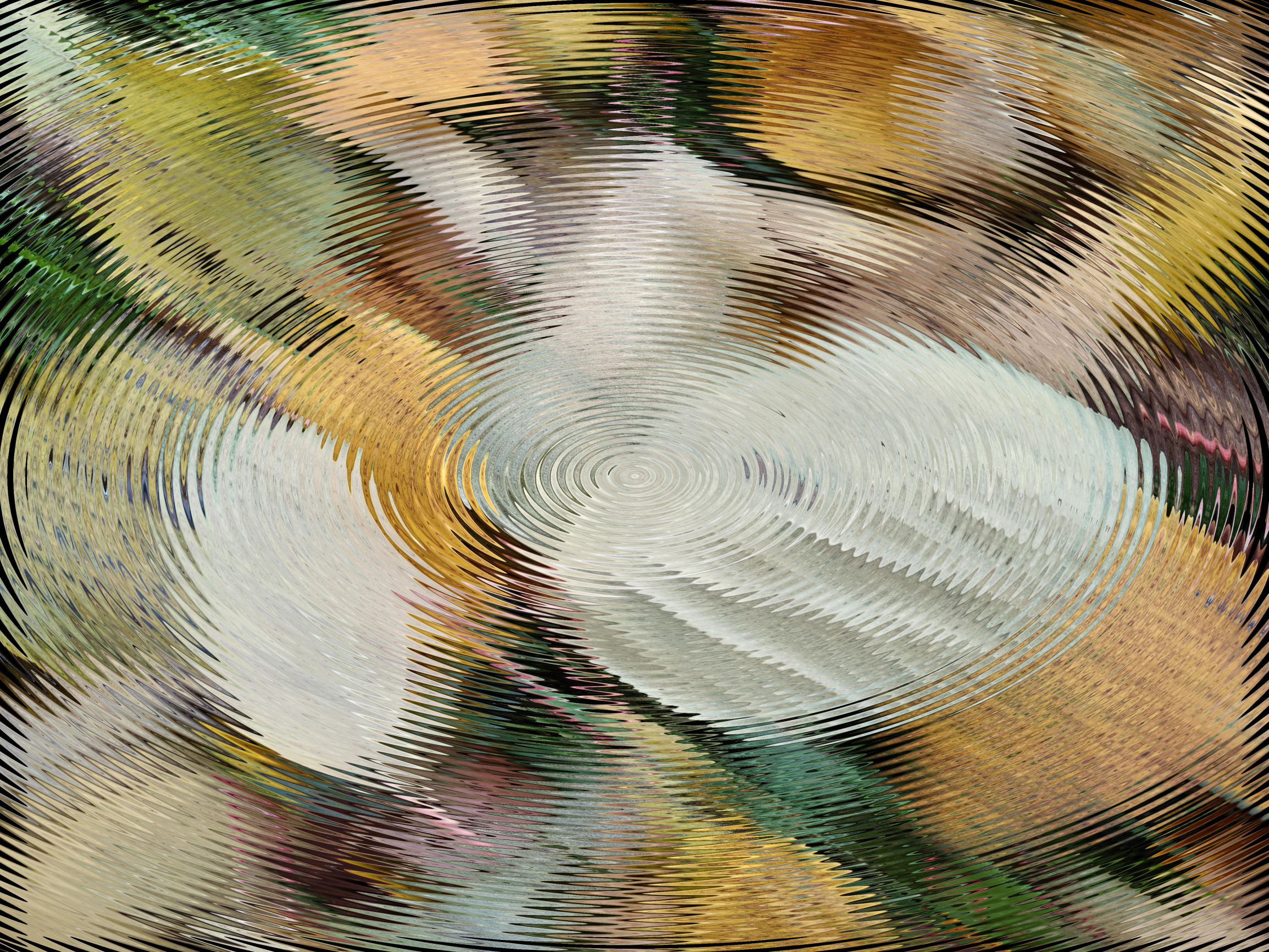 Vlnění listí v listopadu 2025