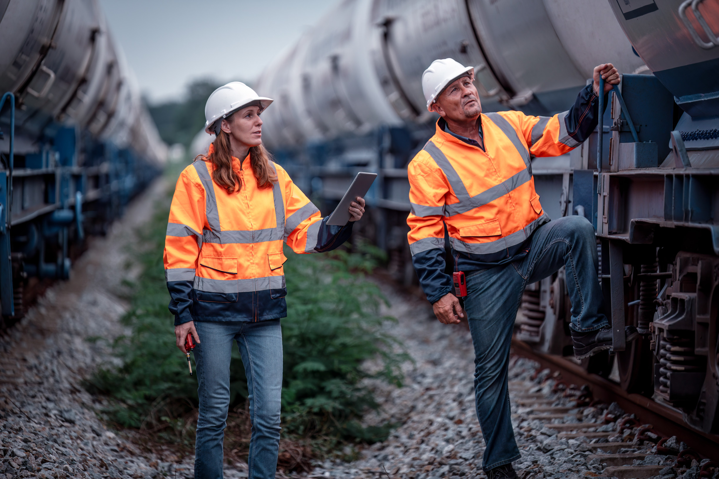 Zobraziť väčšie rozlíšenie