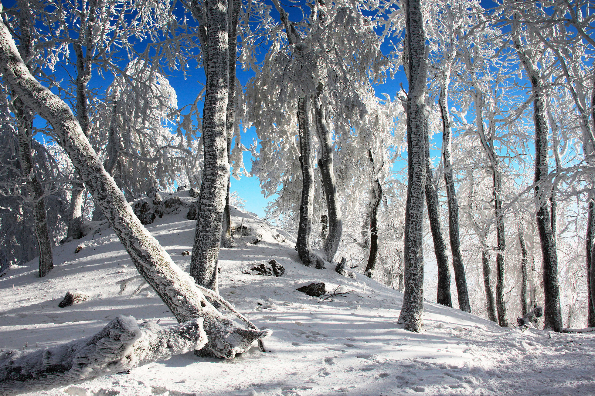 Hiking Basecamp: Zimné tipy od Malých Karpát po Tatry – Záruby, Kozí vrch či hrad Gýmeš s deťmi
