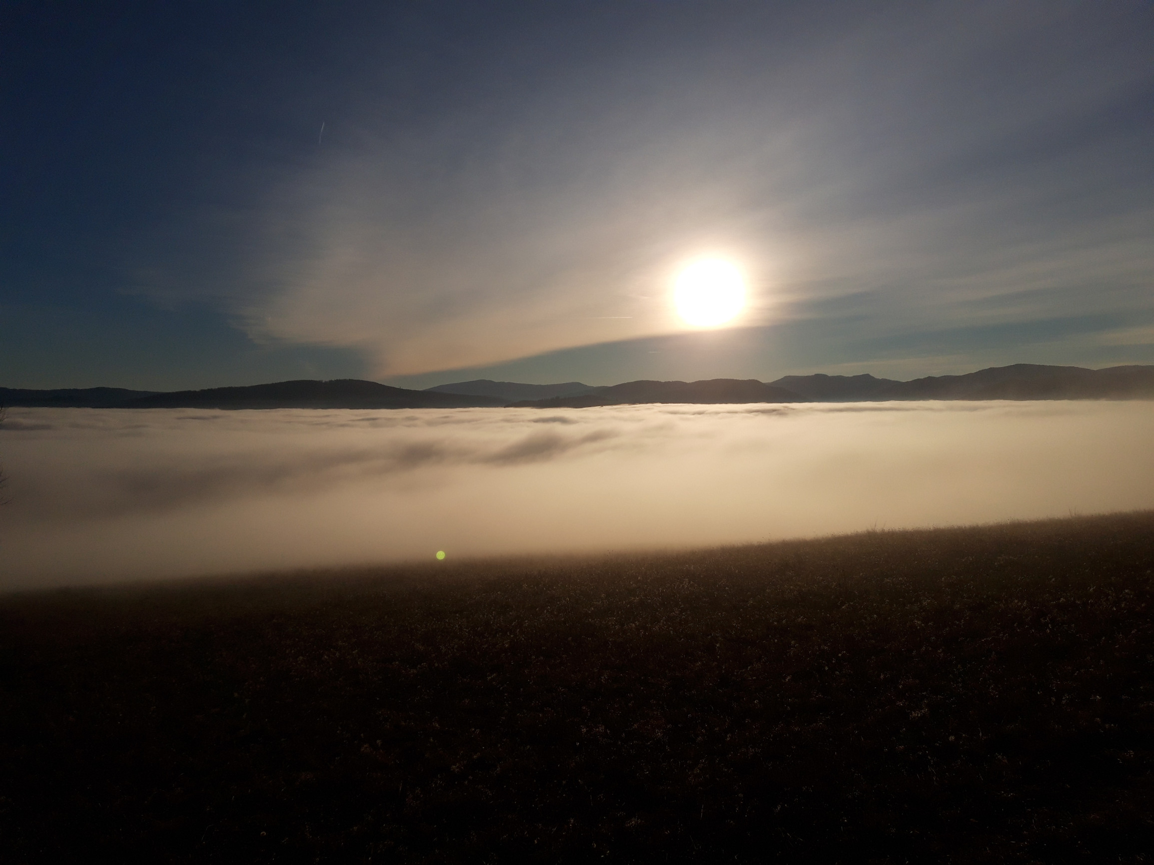 Mini slová pre maxi život: „Mať patent na rozum“