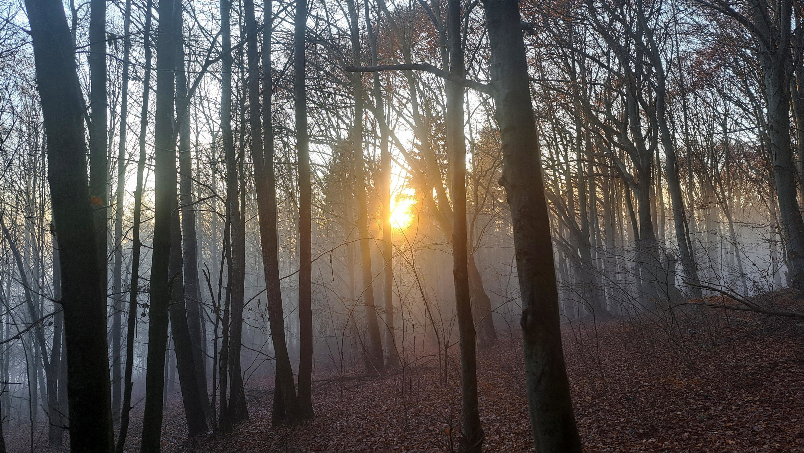Mini slová pre maxi život: Všetko skúmajme a čo je dobré, toho sa držme