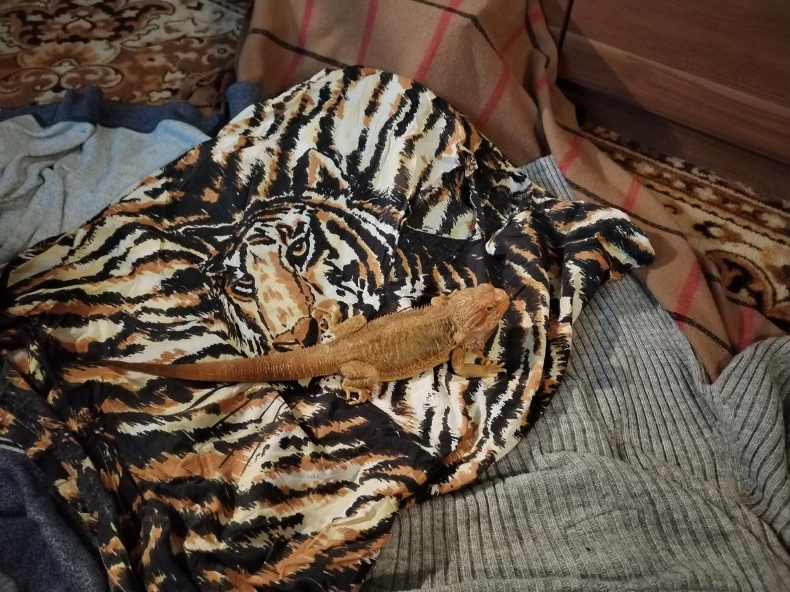 Náš Agi 15. prosince 2025