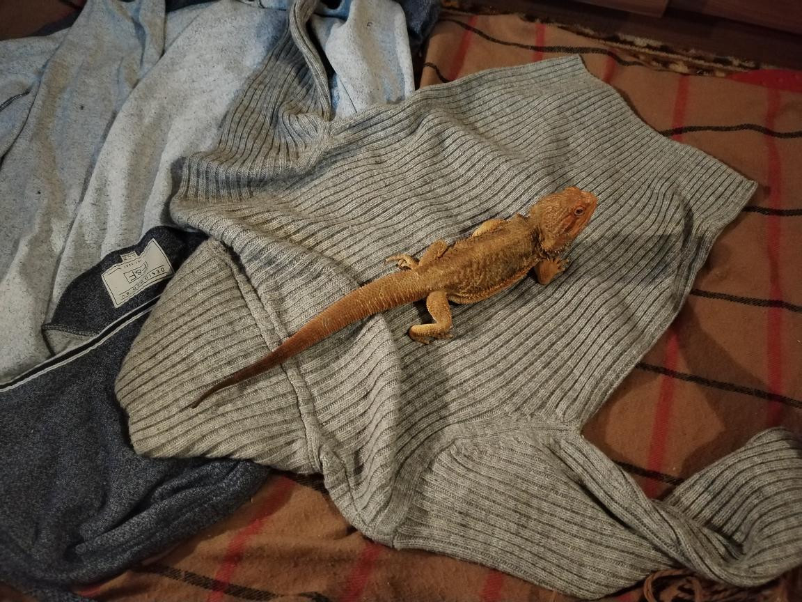 Náš Agi 21. prosince 2025