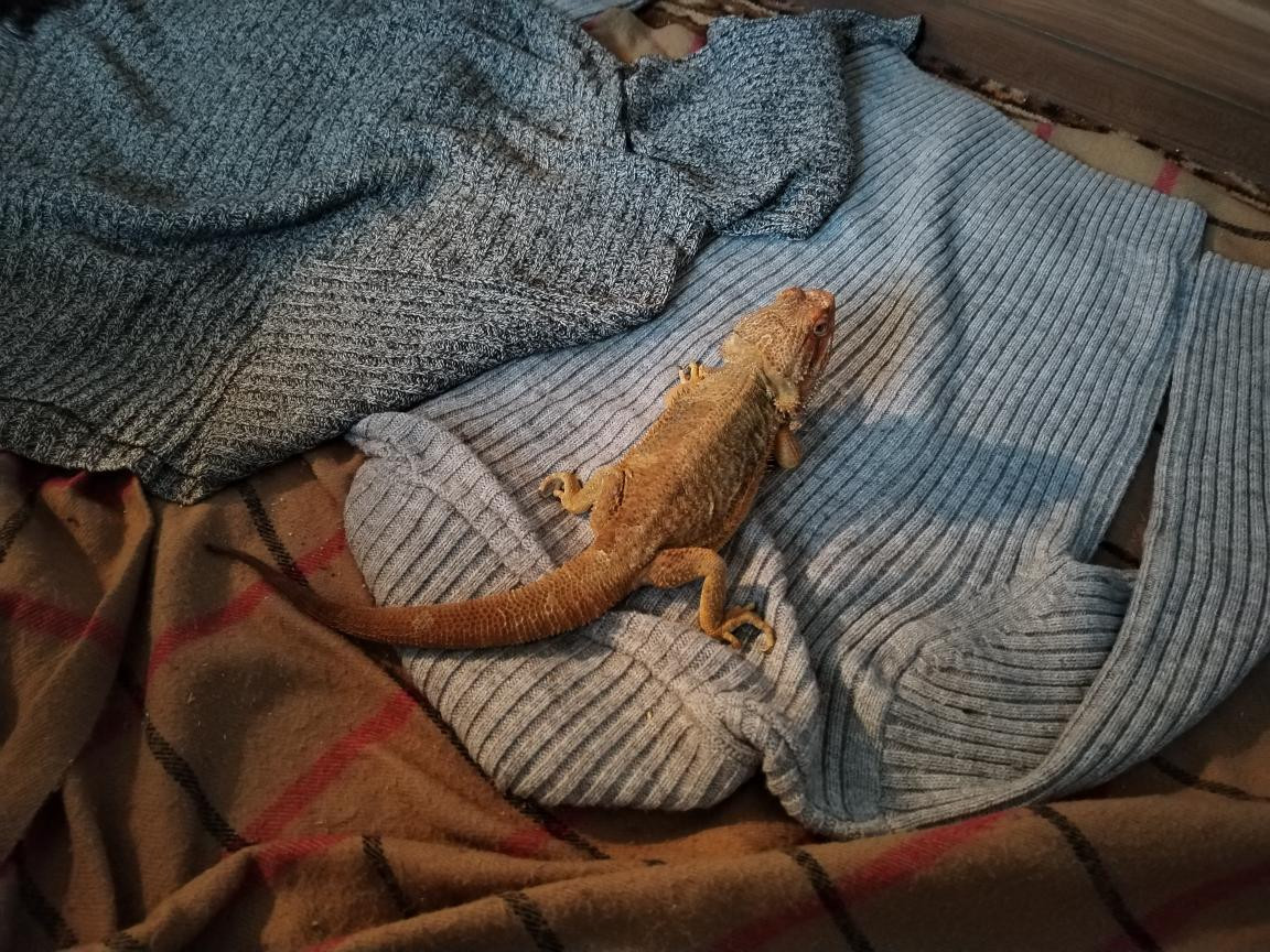 Náš Agi 24. prosince 2025