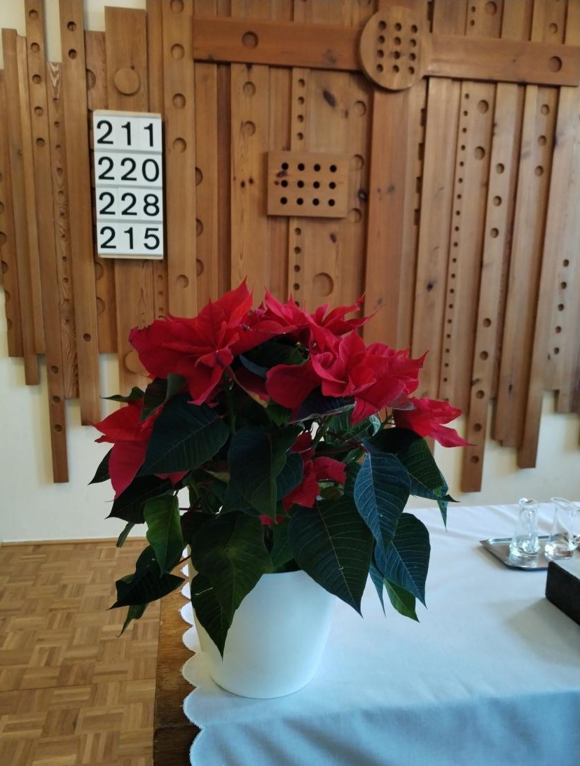 Vánoční hvězda v kostele