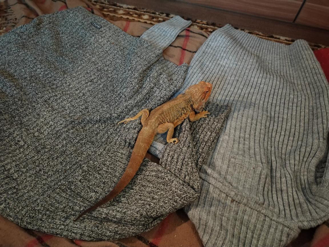 Náš Agi 30. prosince 2025