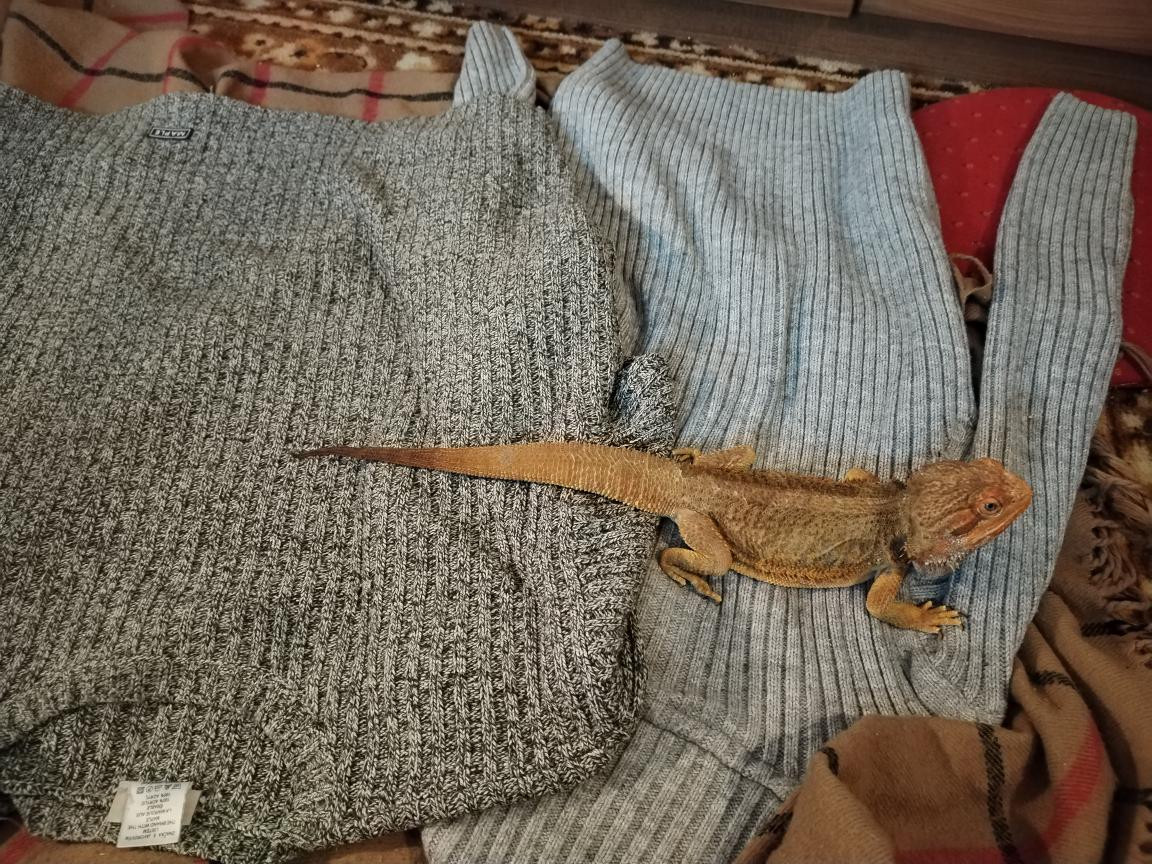 Náš Agi 31. prosince 2025