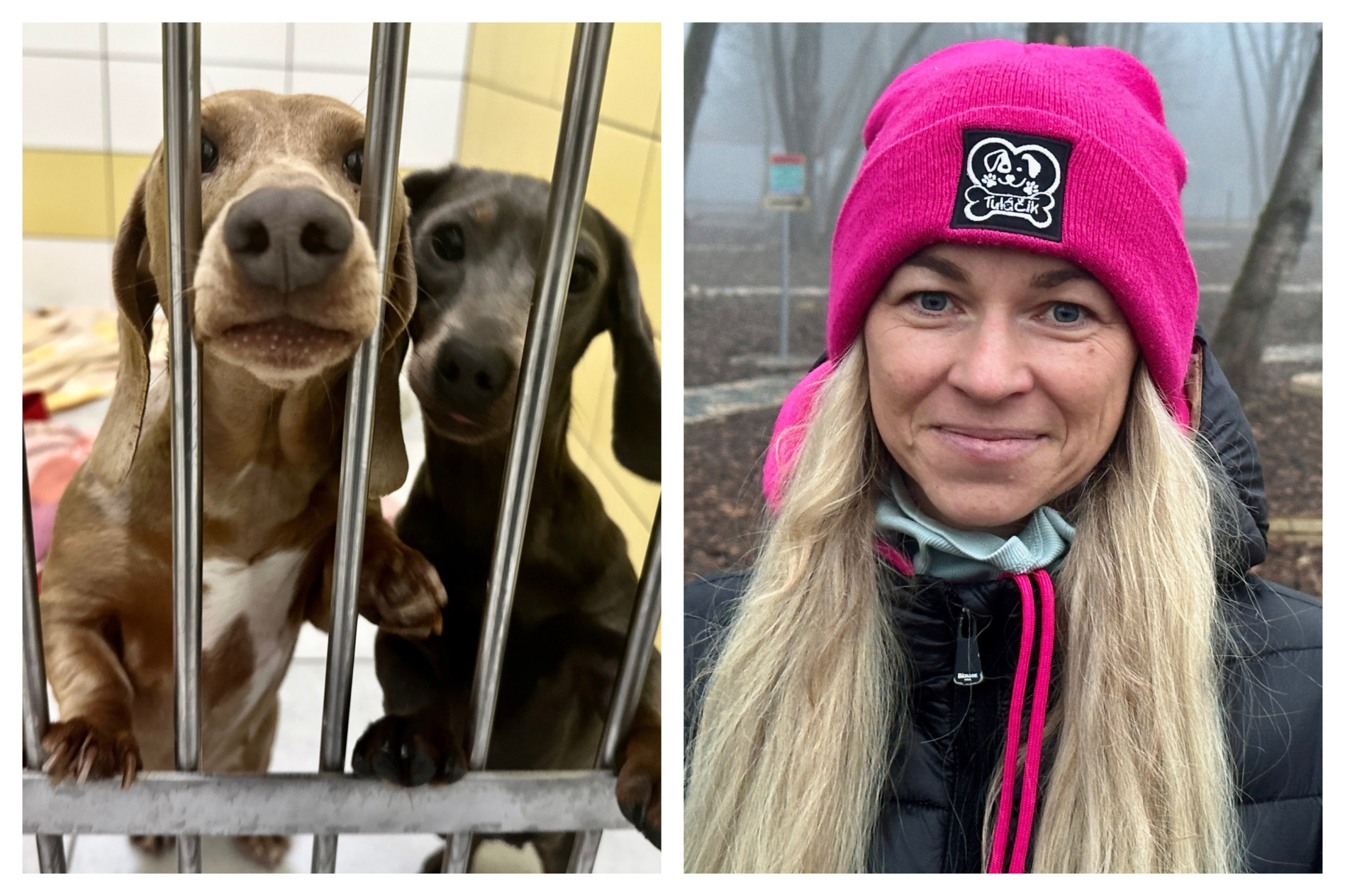 Šéfka útulku Tuláčik: Psy z nelegálnej množiarne pri Prievidzi patria štátu, ale náklady nesieme my