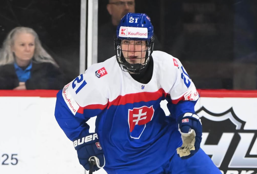 Adam Nemec má s bratom veľa spoločného, no jeho situácia je iná. Šimon bol v junioroch trochu vo výhode, hovorí manažér Nitry