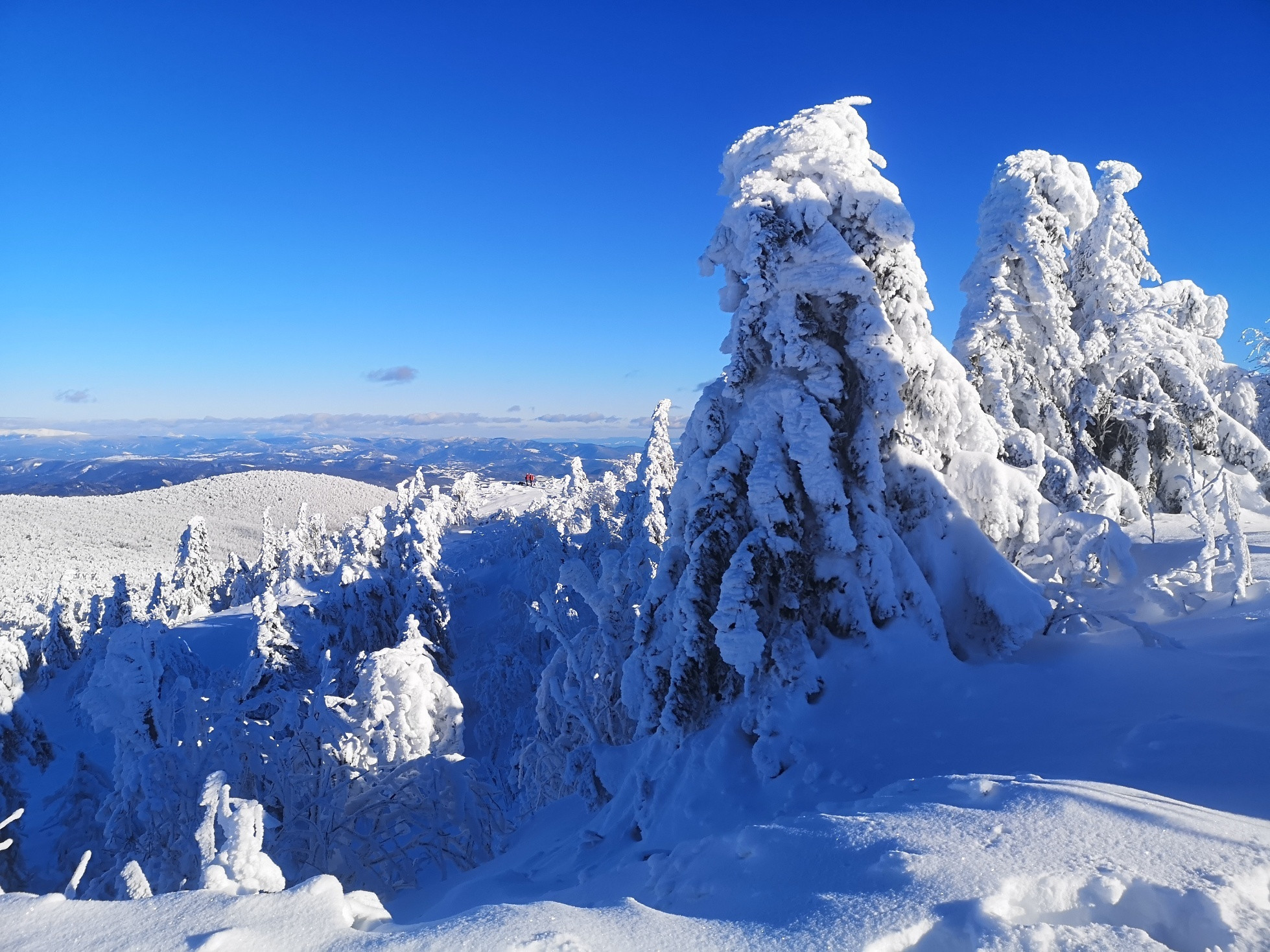 Hiking Basecamp: Výber túr za zimnou inverziou na Vtáčnik, do Slanských vrchov či Malých Karpát