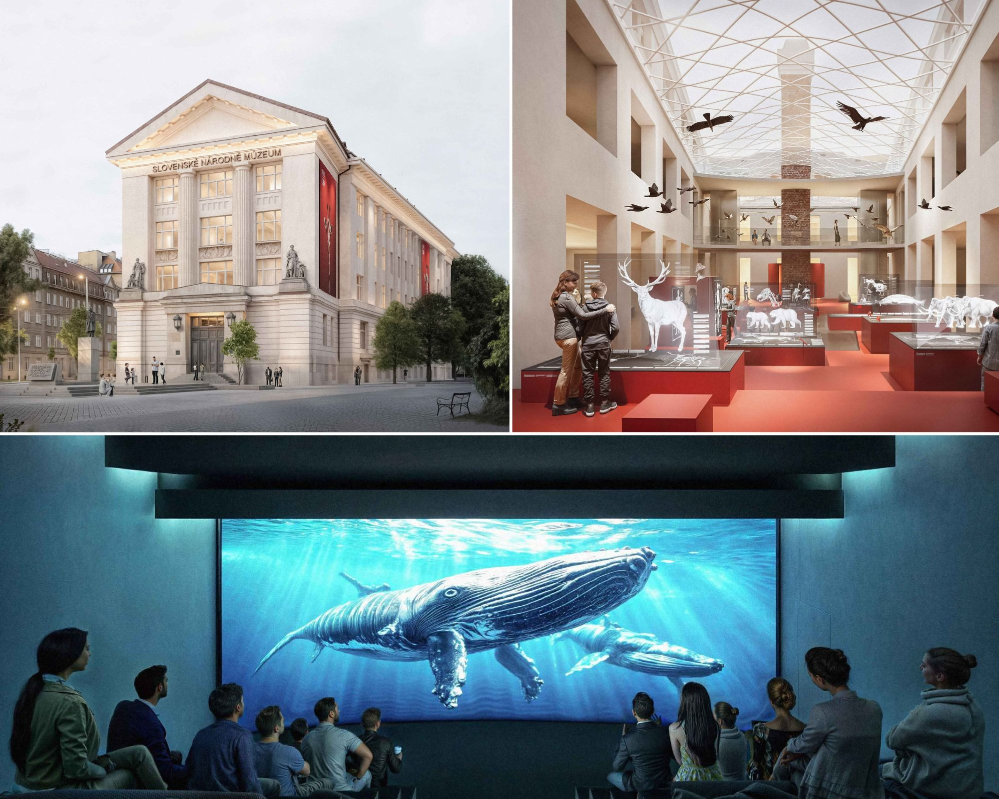 Rekonštrukciu Slovenského národného múzea brzdí politika aj peniaze, hoci súťaž už má víťaza