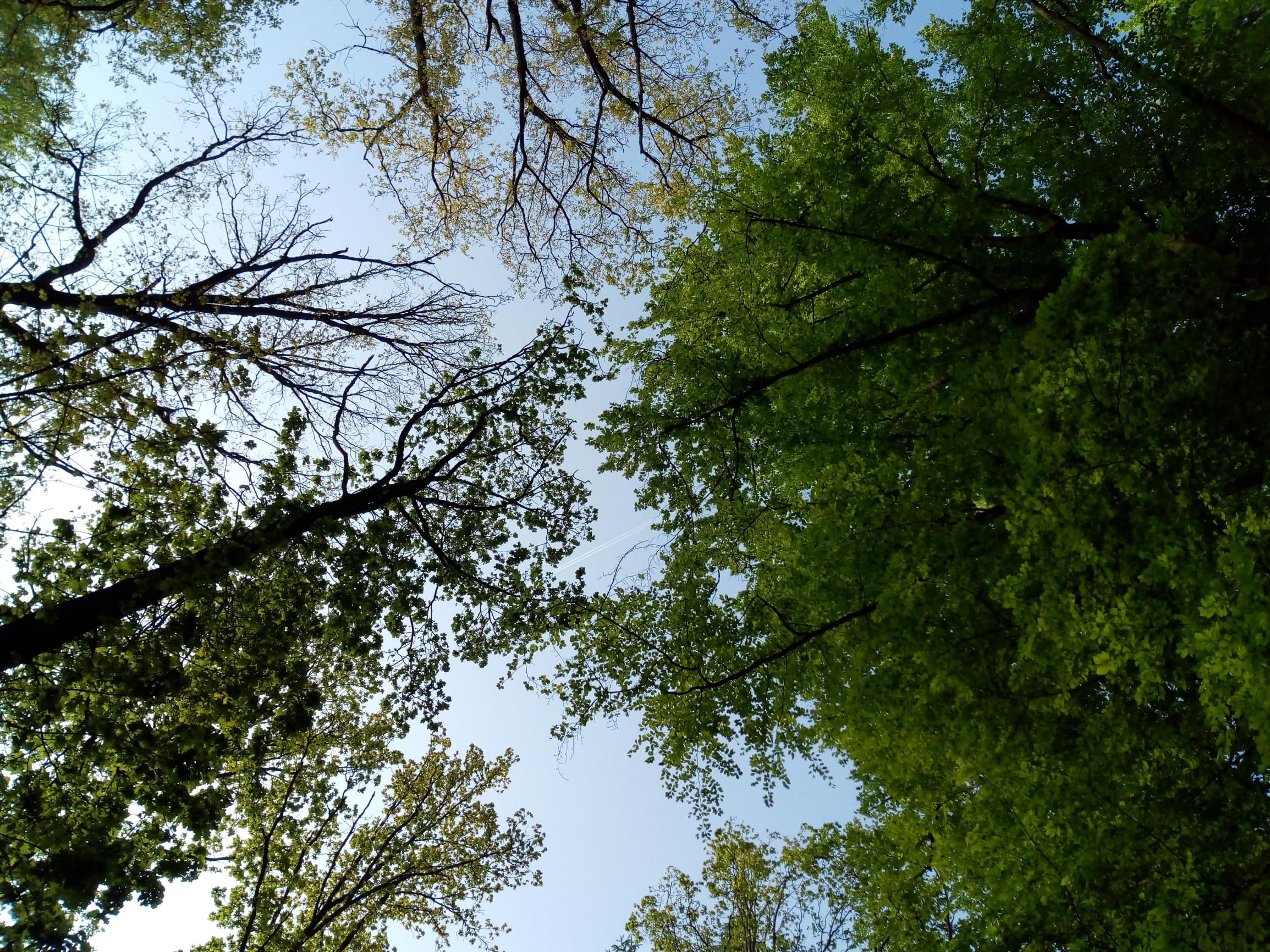 Necháme Facebook, aby nás stále priťahoval hlavne tým, čo nás hnevá?