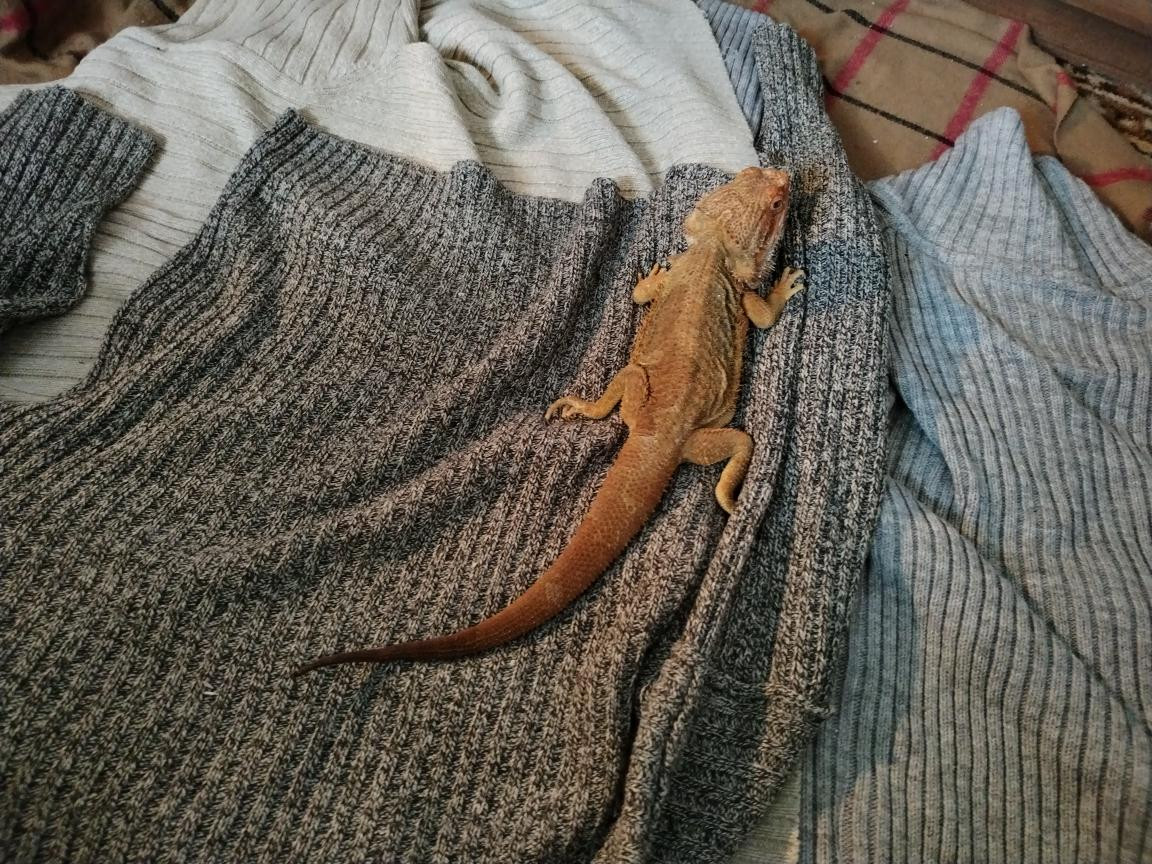 Náš Agi 22. ledna 2026