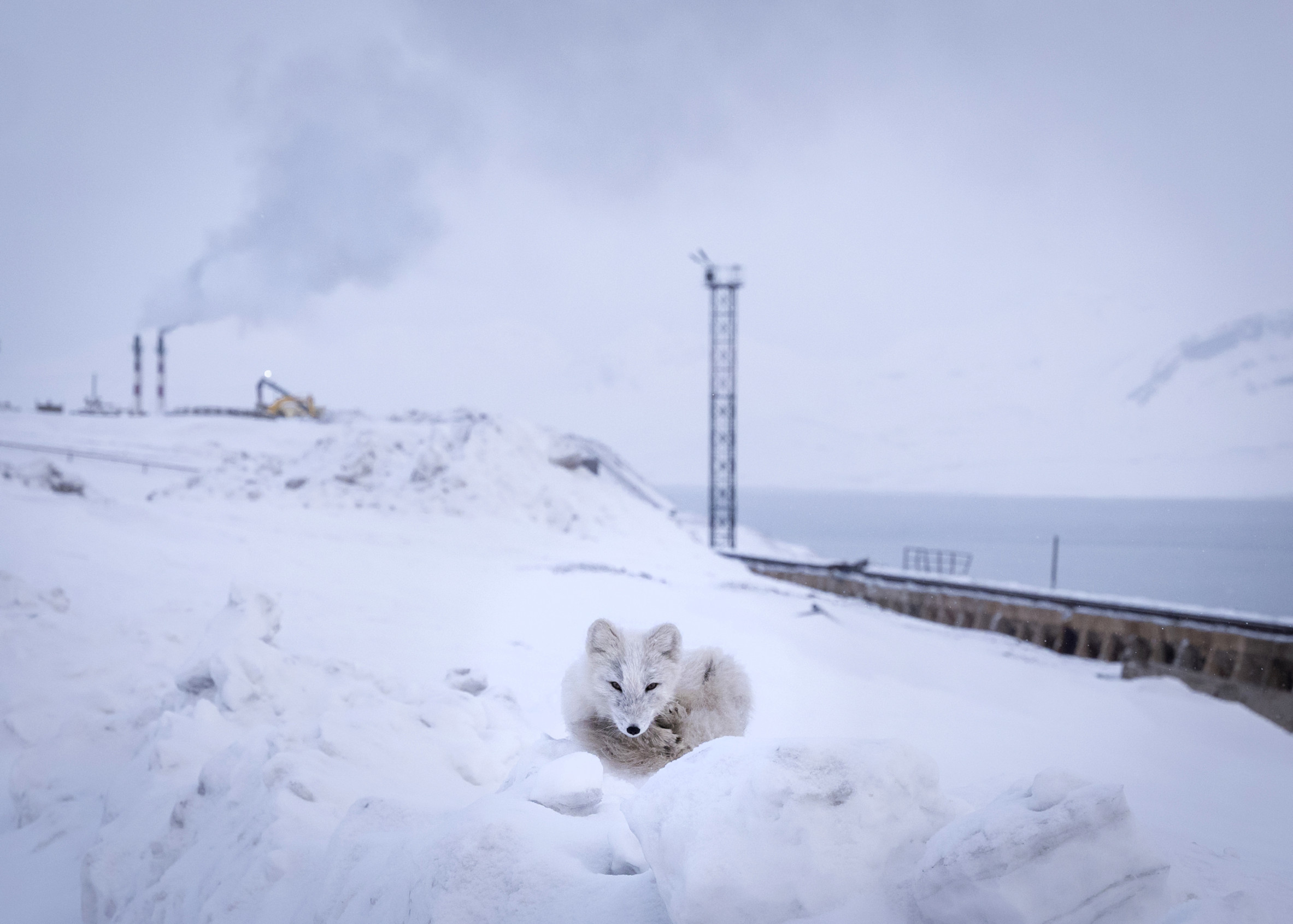 Kým Trump rozpráva o Grónsku, veľmoci sa naťahujú s Nórskom o Špicbergy (reportáž The New York Times)