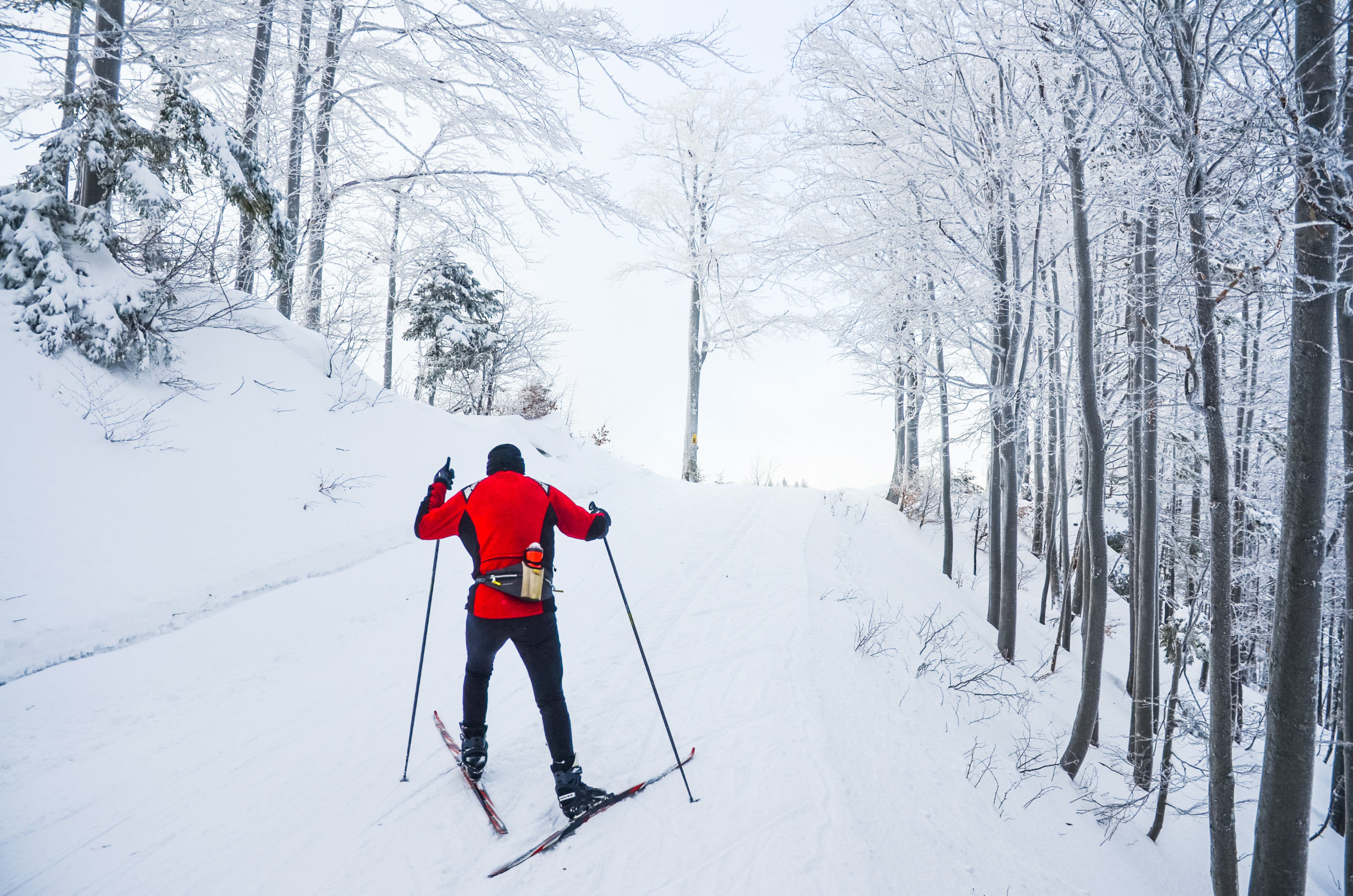 Všetko o bežeckom lyžovaní: Začnite v požičovni, ušetríte. Hrubé oblečenie nepotrebujete, radí odborník