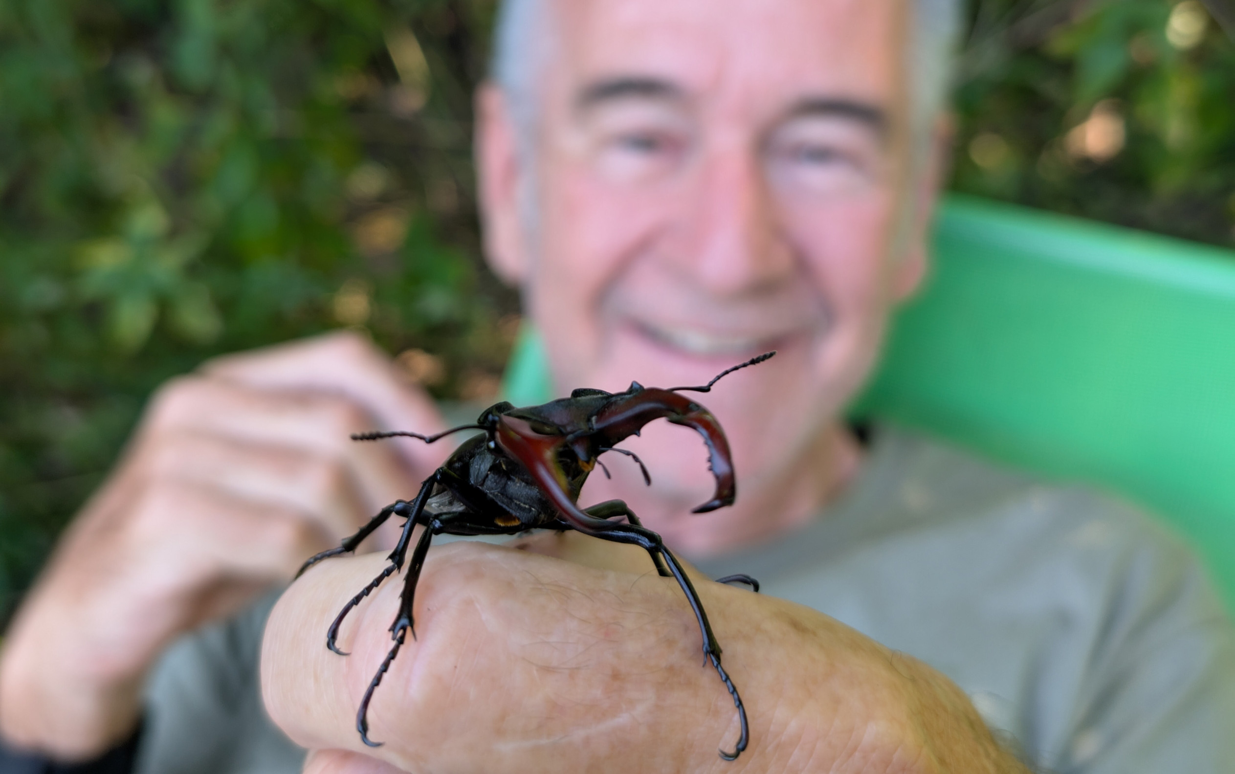 Rysy, zubry aj modré žaby. Britský dokumentarista Nigel Marven natočil ďalší film o slovenskej divočine