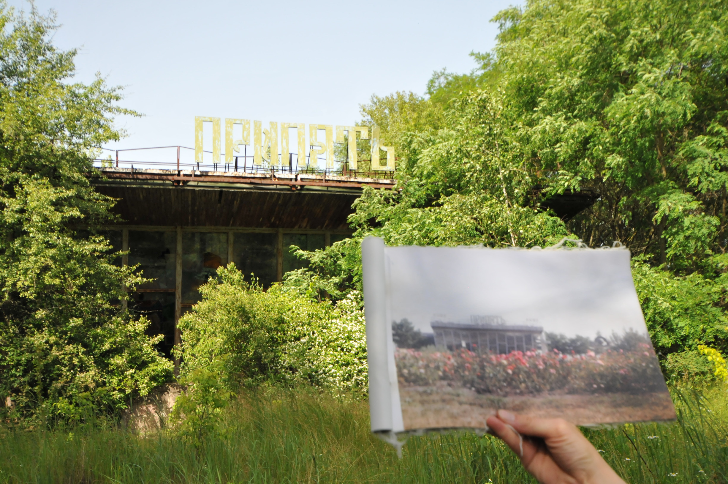 Prypiať lákala na nedostupný tovar a ulice bez áut. Z výkladnej skrine Sovietskeho zväzu ostal iba les