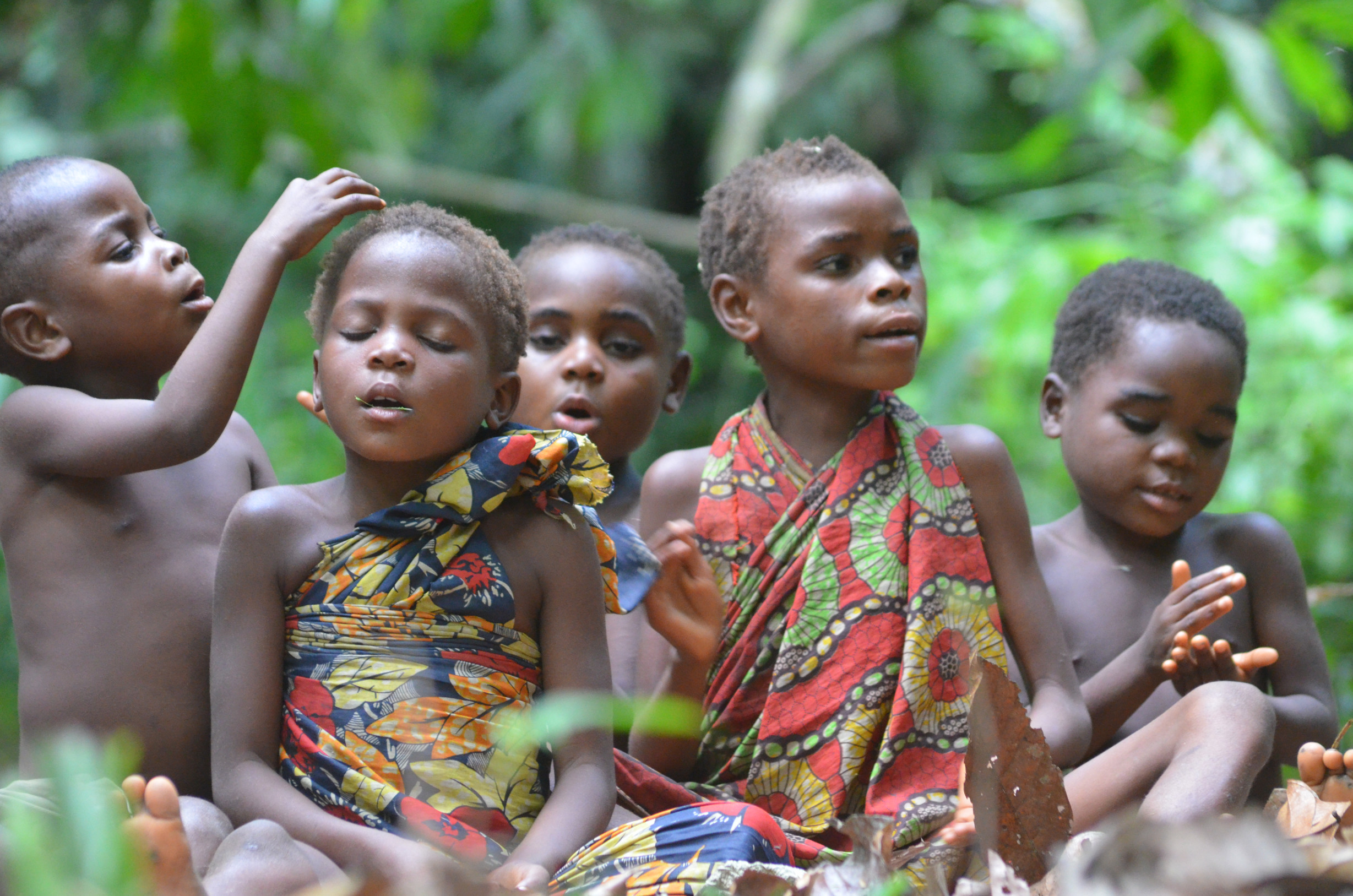 Keď mi problém chodí v hlave, nemôžem spať. Ako kmene BaYaka riešia konflikty krikom za svitania (ukážka z knihy)