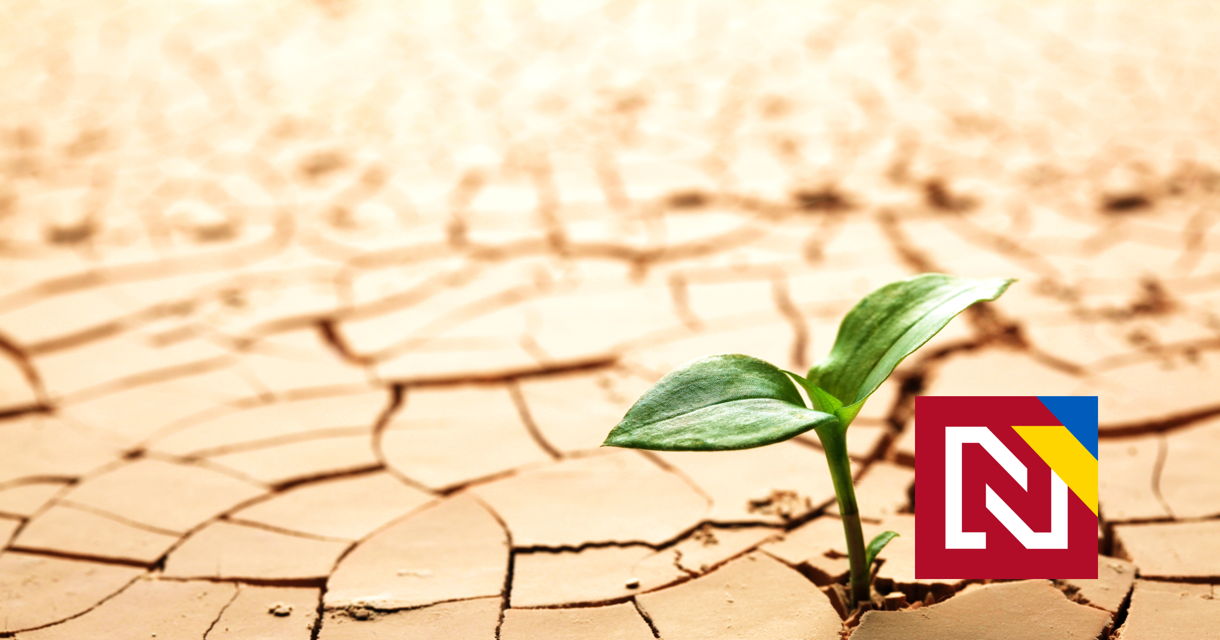 Producția mondială de alimente scade cu 21% din cauza schimbărilor climatice