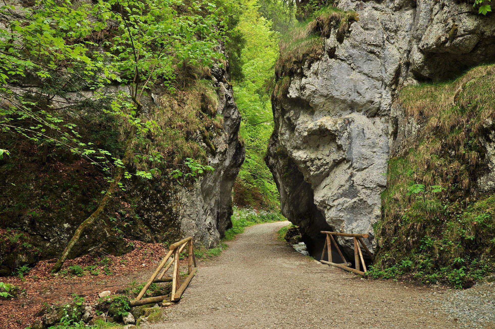 Hiking Basecamp: Gaderská, Blatnícka a Jasenská dolina. Šesť tipov na výlety v bralnatej Veľkej Fatre