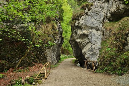 Hiking Basecamp: Gaderská, Blatnícka a Jasenská dolina. Šesť tipov na výlety v bralnatej Veľkej Fatre