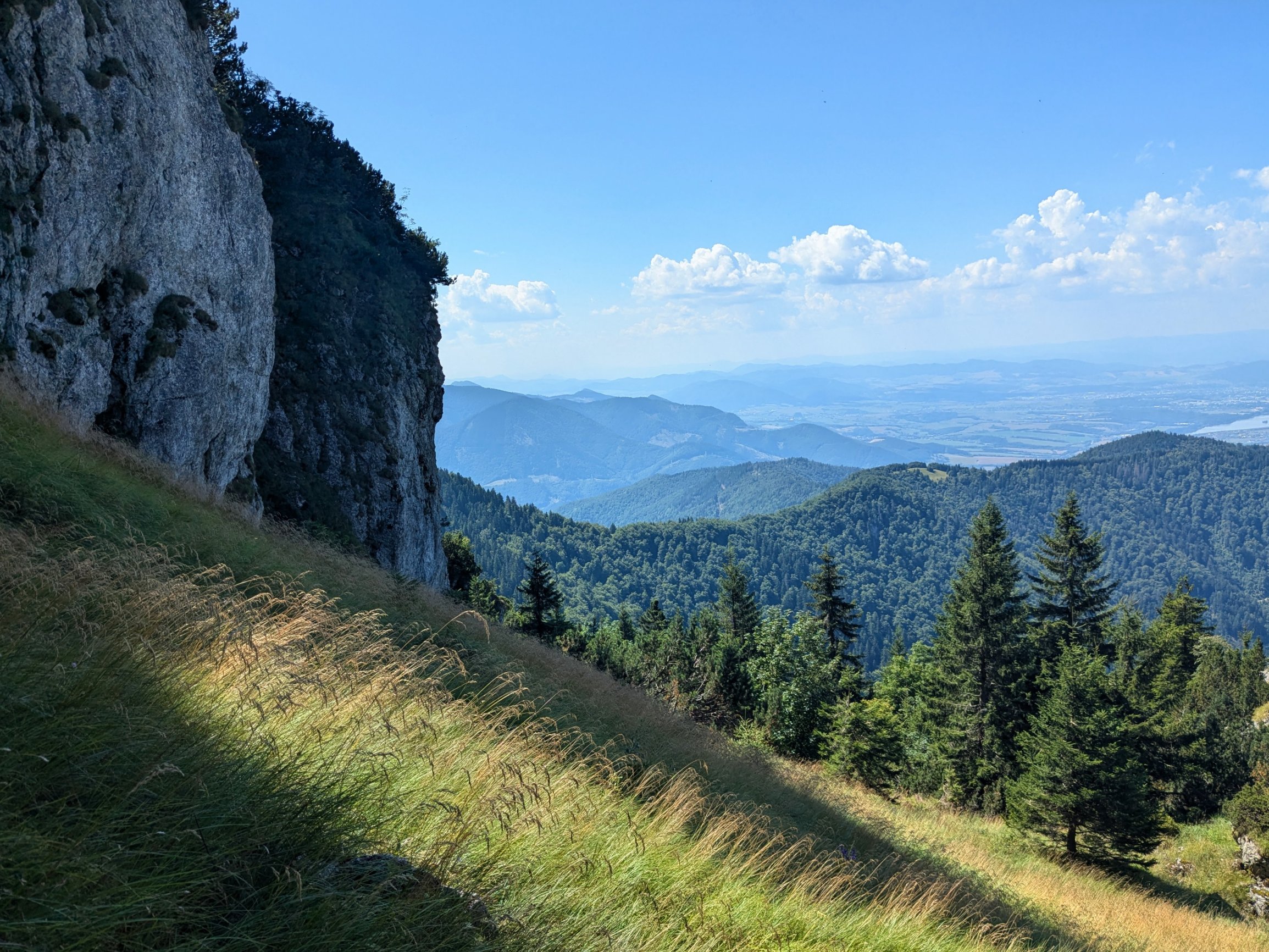 Platia nové zonácie, národné parky však nebudú rozhodovať o väčšine svojich lesov. Umožnilo sa poľovanie v Tichej a Kôprovej doline a iných starých rezerváciách