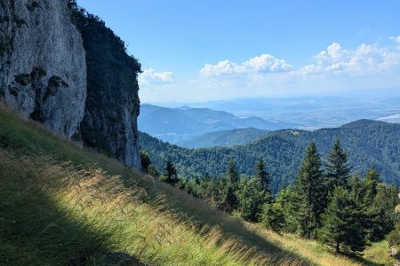 Platia nové zonácie, národné parky však nebudú rozhodovať o väčšine svojich lesov. Umožnilo sa poľovanie v Tichej a Kôprovej doline a iných starých rezerváciách